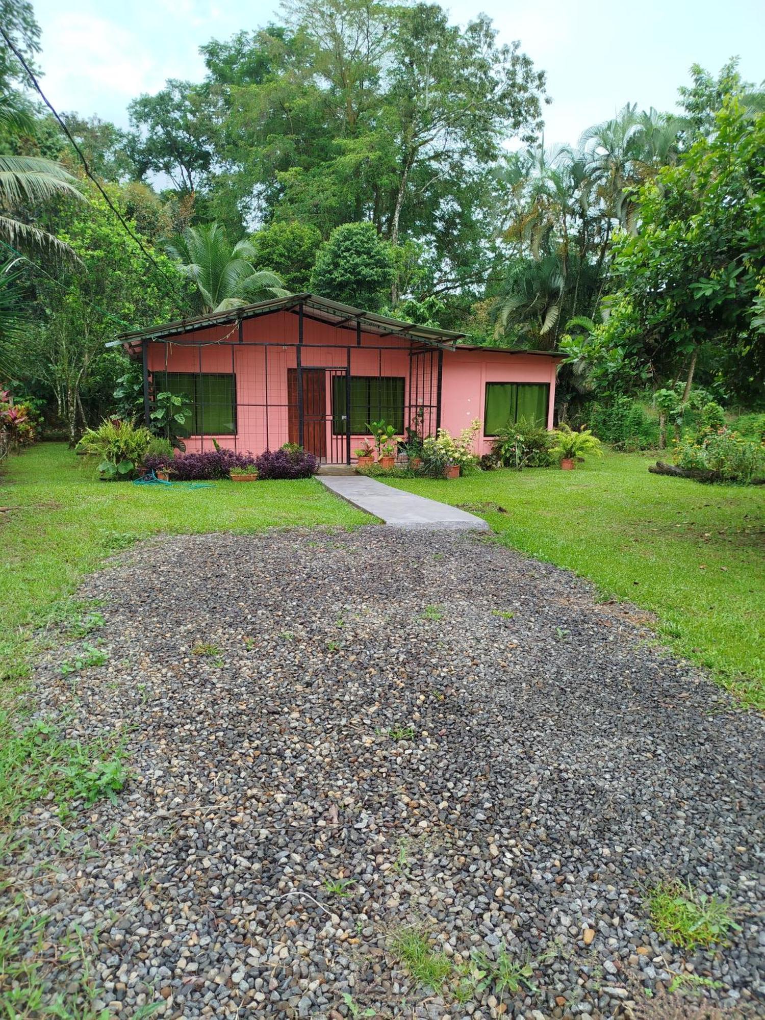 Paraiso Verde Siqurres Da Alegria Habitación foto